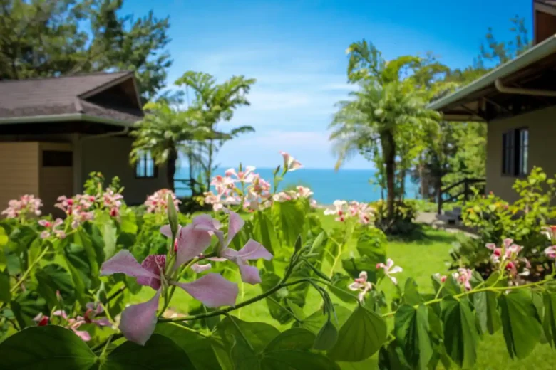 Lush garden with pink flowers framing the ocean view at Villas Azul Ballena, Uvita.